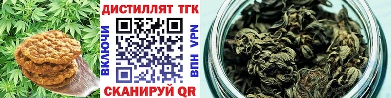 закладки  Краснознаменск  omg зеркало  Еда ТГК конопля 