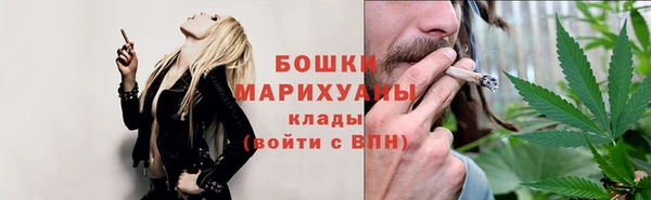 молекула духа Балахна
