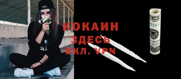 молекула духа Балахна