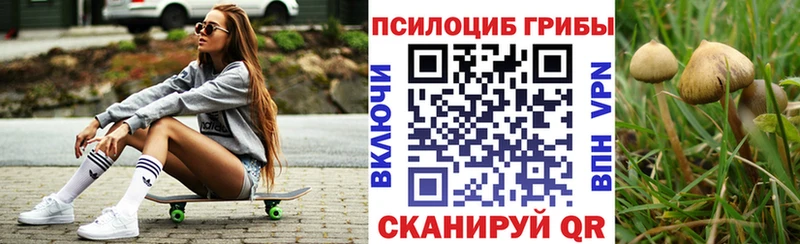 Псилоцибиновые грибы Magic Shrooms  наркота  Краснознаменск 